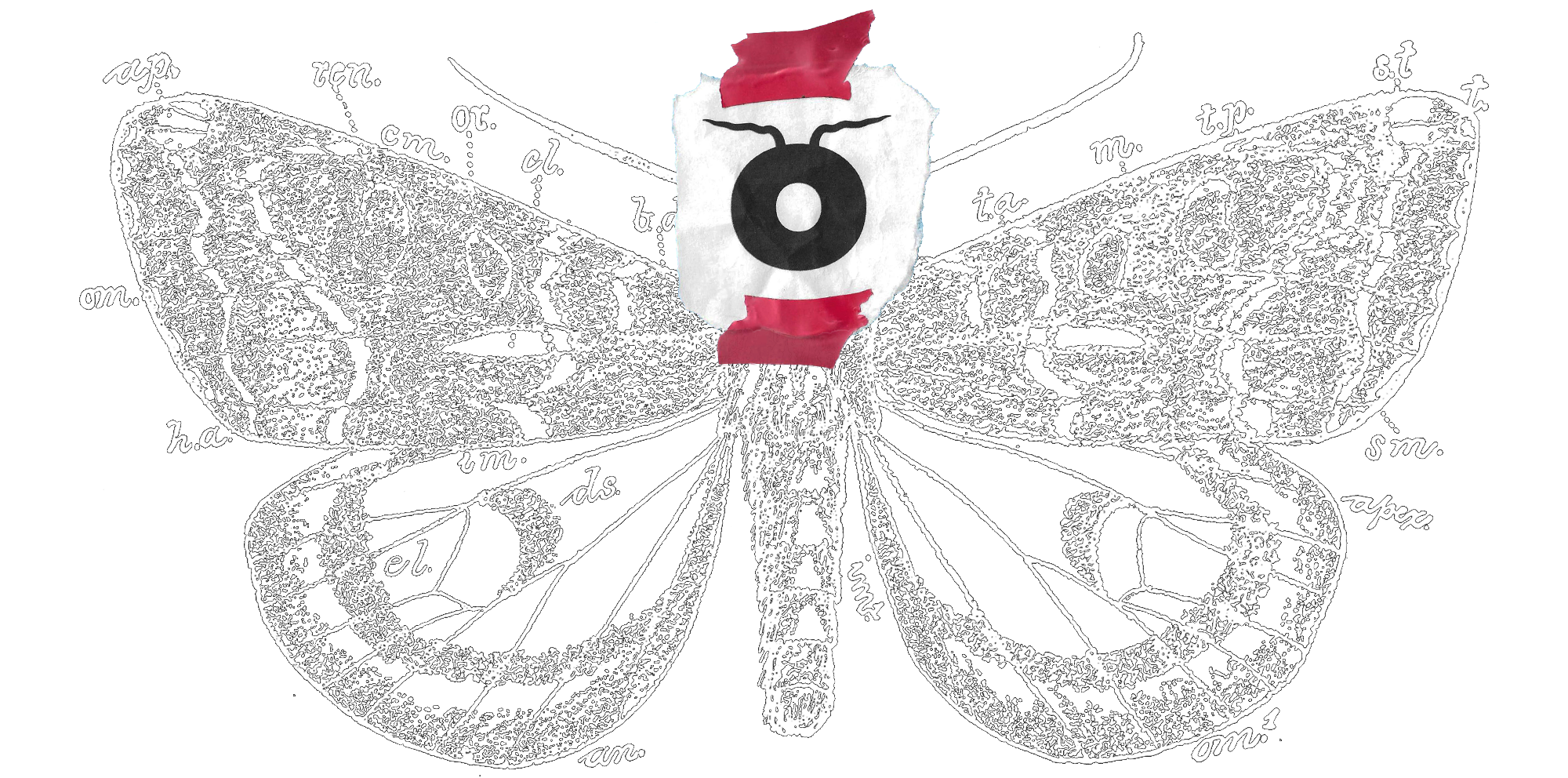 mothbreather-moth